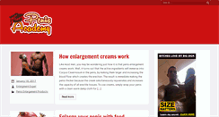 Desktop Screenshot of penisacademy.com